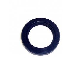 Camshaft Seal (DNJ CS217) 94-01