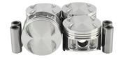 Piston Set - Cast (DNJ P217A) 94-01