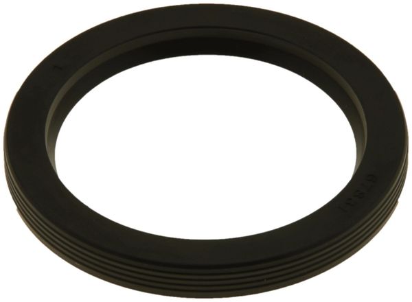 Timing Cover Seal (Mahle 67831) 08-10