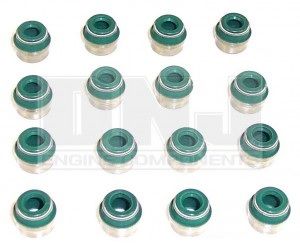 Valve Stem Seal Set (DNJ VSS319) 98-08