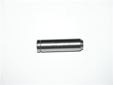 Valve Guide - Exhaust (SBI 140-8194) 99-06