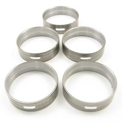 Camshaft Bearing Set (DNJ CB4214) 03-10