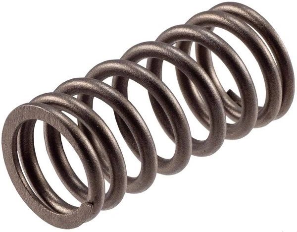 Valve Spring (Melling VS-1589) 07-19