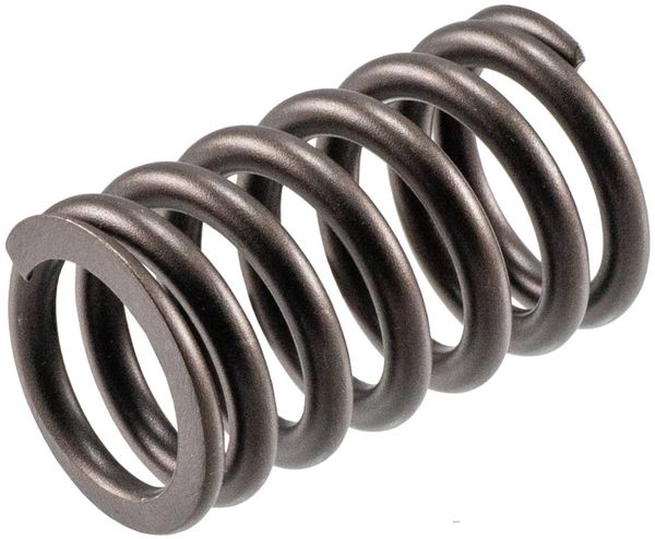 Valve Spring Set (SBI 160-1140) 65-70