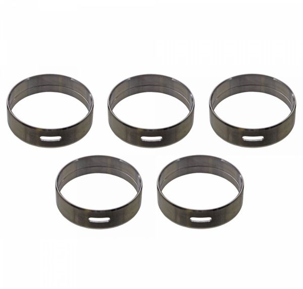 Camshaft Bearing Set (Sealed Power 1899M) 03-10