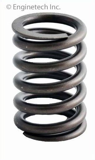 Valve Spring (Enginetech ERV1082) 78-79