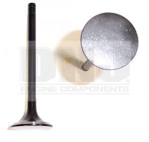 Exhaust Valve - 1.142" (DNJ EV319) 97-05