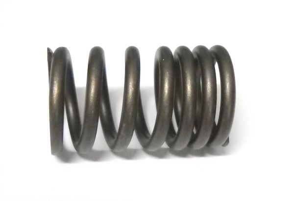 Valve Spring (SBI 160-1116) 42-62