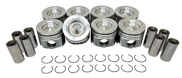 Piston Set (DNJ P6260) 17-20