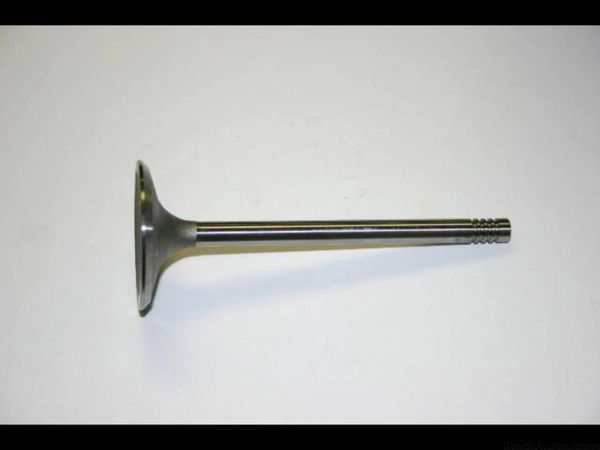 Valve - Intake 2.043" (SBI 01380) 78-82