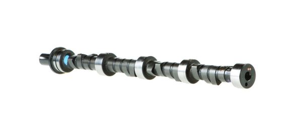 Camshaft - Stock Profile (Sealed Power CS-364) 61-67