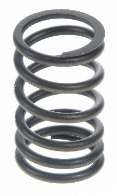 Valve Spring Set - Outer (Elgin RV765S) 59-66