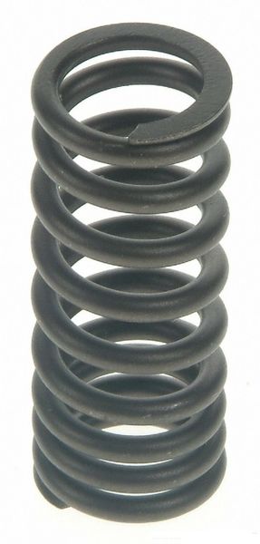 Valve Spring Set (Sealed Power VS393) 42-51