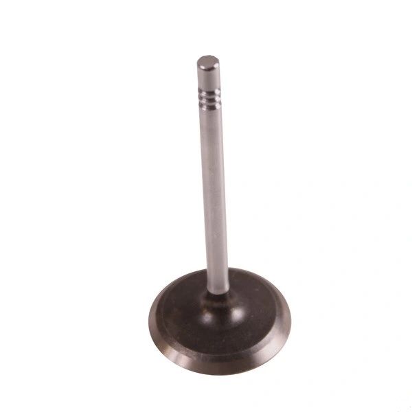 Exhaust Valve - 1.406" (SBI 01441) 65-90