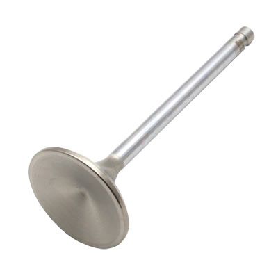 Exhaust Valve (Obsolete VE2286) 55-61