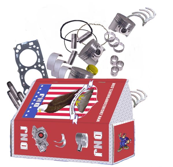 Engine Rebuild Kit (DNJ EK936) 95-99