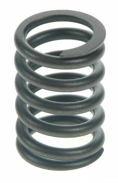 Valve Spring (SBI 160-1122) 60-87