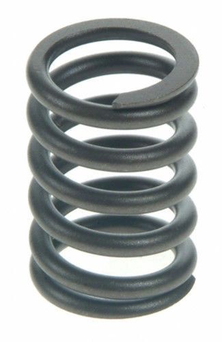 Valve Spring Set (SBI 160-1122) 58-89