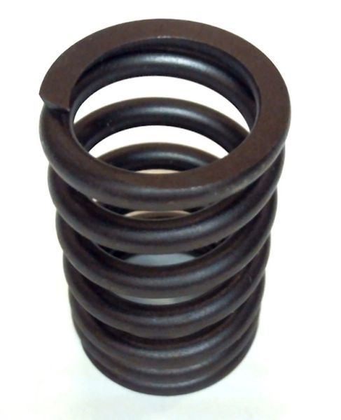 Valve Spring (SBI 160-1164) 70-78