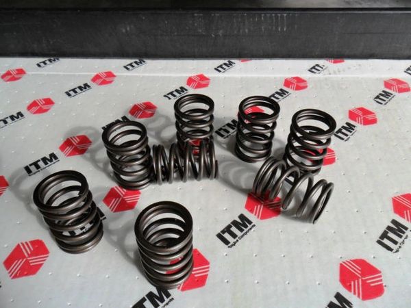 Valve Spring Set (ITM VS1461-16) 96-00