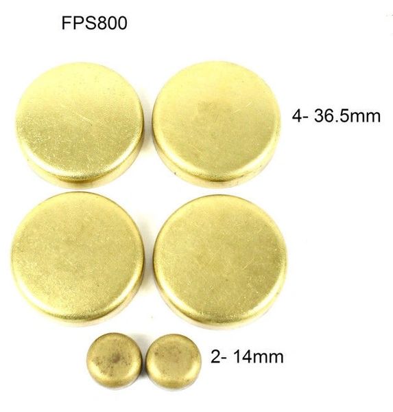 Frost Plug Set - Brass (DNJ FPS800) 93-06