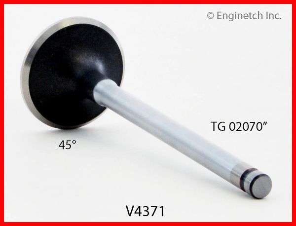 Valve - Exhaust (EngineTech V4371) 97-13