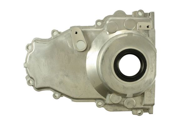 Timing Cover (Pioneer 500LS2) 05-12