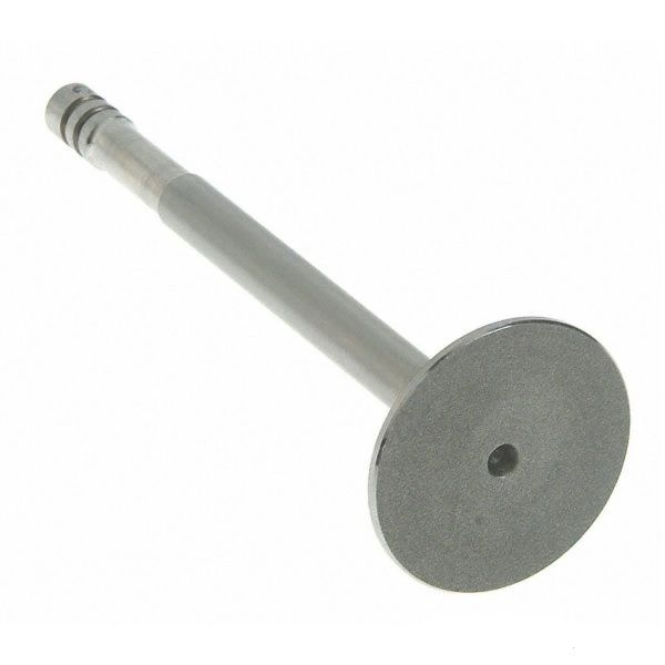 Exhaust Valve (SBI 00349) 49-59