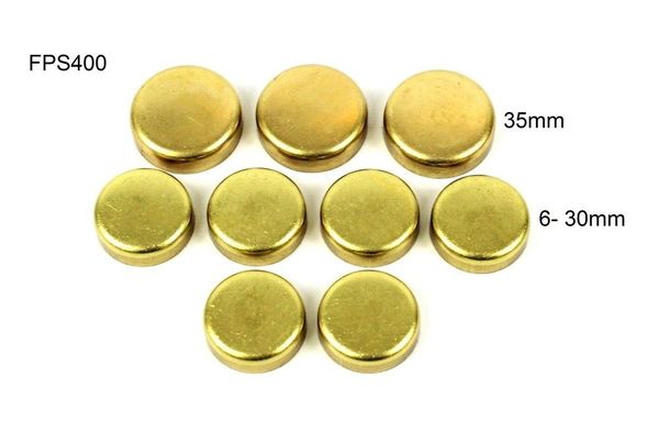 Frost Plug Set - Brass (DNJ FPS400) 88-94