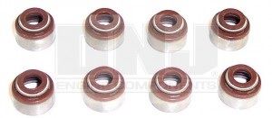 Valve Stem Seal Set (DNJ VSS500) 89-95