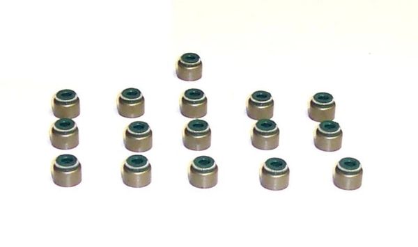 Valve Stem Seal Set (DNJ VSS530) 09-13