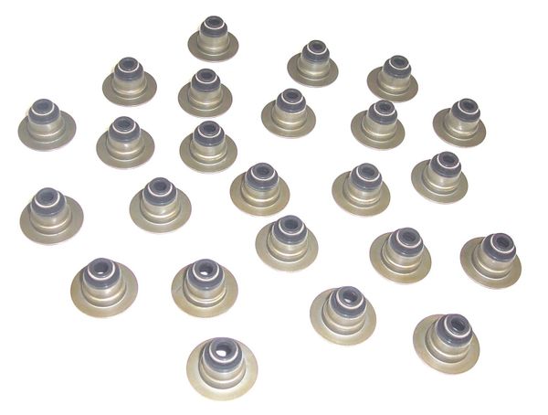 Valve Stem Seal Set (DNJ VSS143) 93-11