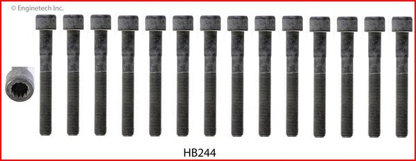 Head Bolt Set (EngineTech HB244) 92-05