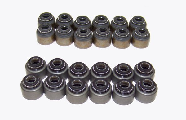 Valve Stem Seal Set (DNJ VSS969) 03-15