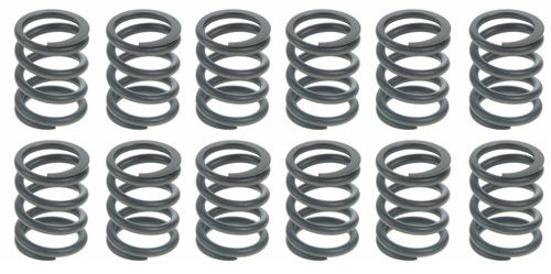 Valve Spring Set (SBI 160-1131-12) 63-83