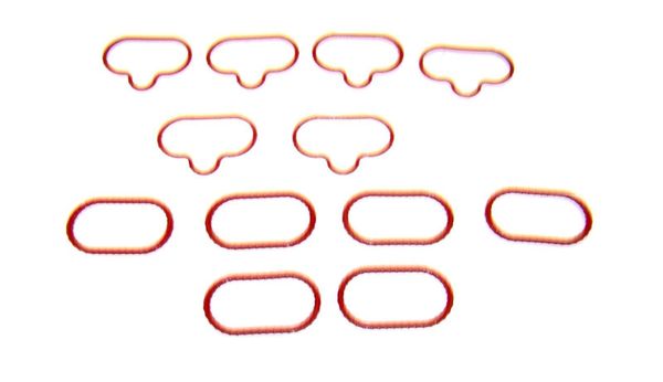 Intake Manifold Gasket Set (DNJ IG4192) 00-02 See Listing