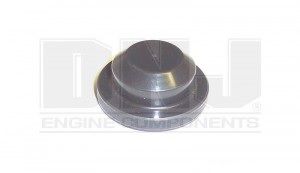 Camshaft Plug - Rear (DNJ CS145D) 81-95