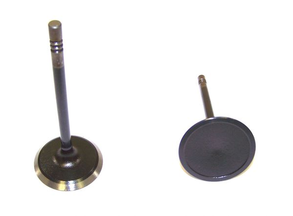 Intake Valve (DNJ IV1100) 02-12