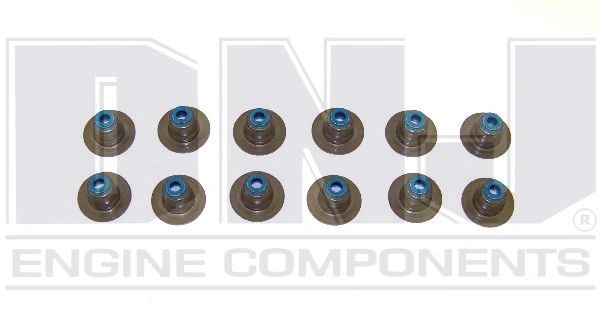 Valve Stem Seal Set (DNJ VSS1105) 02-12