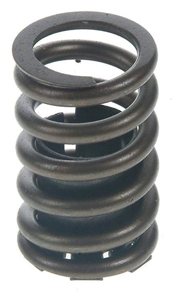 Valve Spring Set (Elgin RV1190XS) 81-95