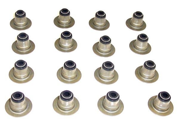 Valve Stem Seal Set (DNJ VSS150) 95-05