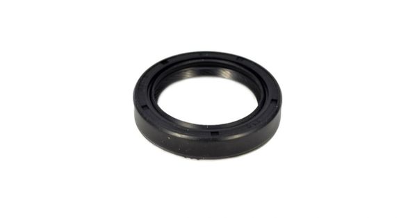 Camshaft Seal (ITM 15-01211) 01-10