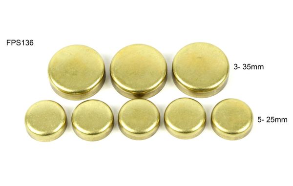 Frost Plug Kit - Brass (DNJ FPS136) 99-10