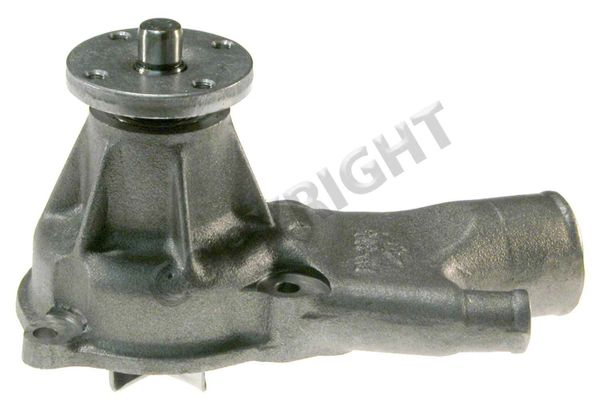 Water Pump (Airtex AW1107) 75-84