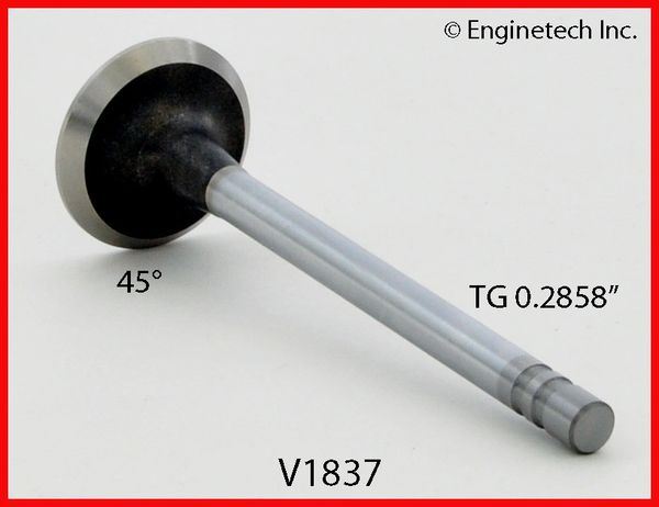 Valve - Exhaust 1.500" (EngineTech V1837) 77-81
