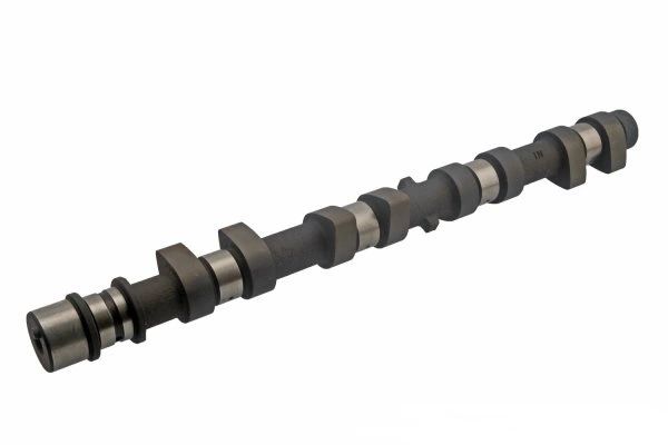 Camshaft - Intake (Topline CAMK5I) 95-02