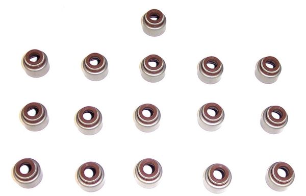 Valve Stem Seal Set (DNJ VSS326) 95-02