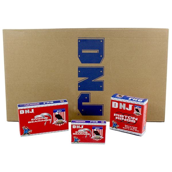 Engine Re-Ring Kit (DNJ RRK108) 85-92