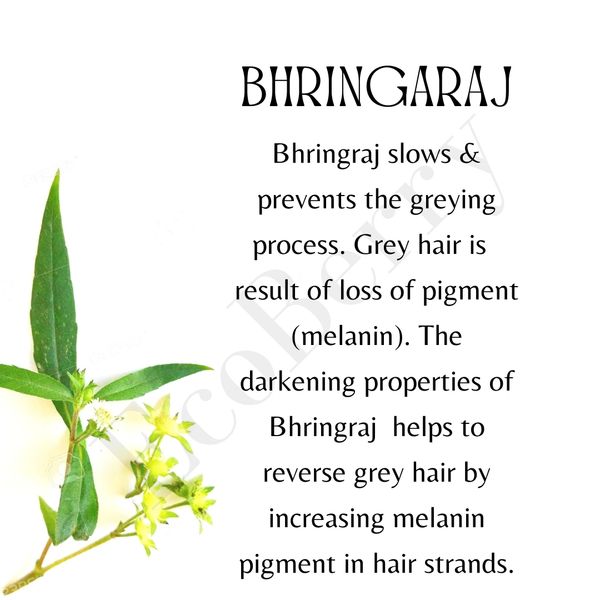 Bhringaraj Curry Leaves Indian Gooseberry Hair Darkening Oil | Natural  Handmade Cosmetics Skincare Haircare Organic Products
