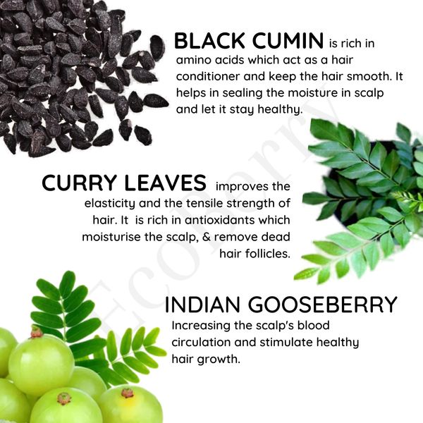 Curry leaves oil 2024 for hair